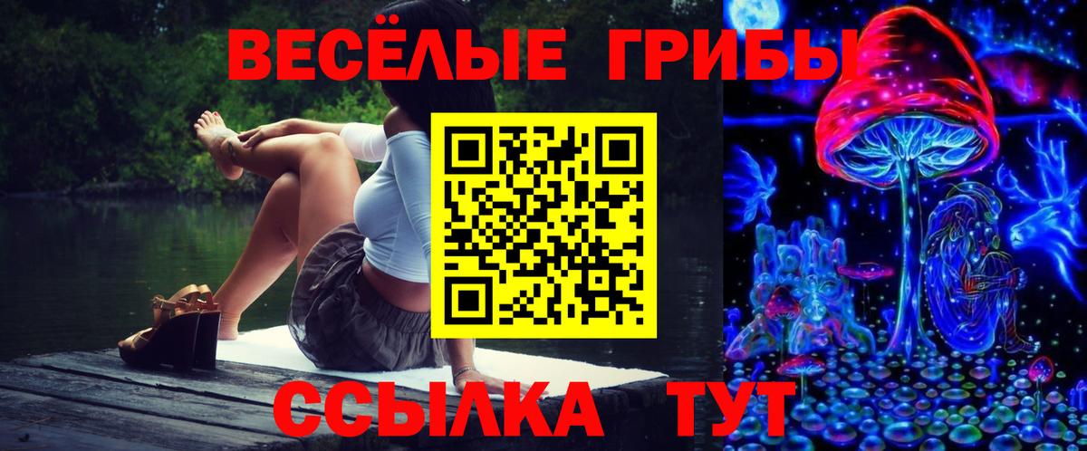 Барабинск  Псилоцибиновые грибы мицелий  Вход с VPN 